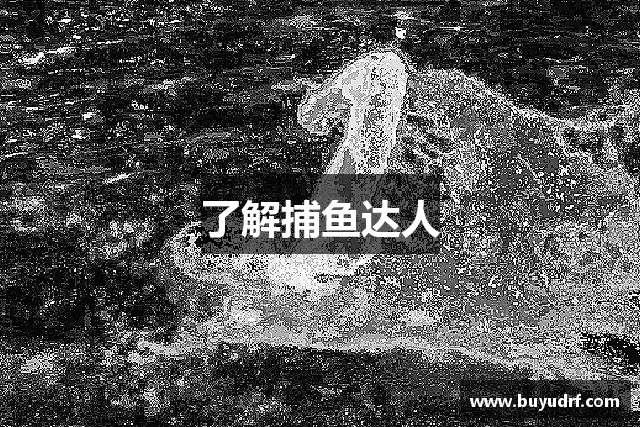了解捕鱼达人